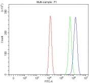 Flow cytometry testing of fixed and permeabilized human HEL cells with LRRC47 antibody at 1ug/million cells (blocked with goat sera); Red=cells alone, Green=isotype control, Blue= LRRC47 antibody.