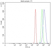 Flow cytometry testing of fixed and permeabilized human JK cells with MZB1 antibody at 1ug/million cells (blocked with goat sera); Red=cells alone, Green=isotype control, Blue= MZB1 antibody.