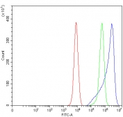 Flow cytometry testing of fixed and permeabilized human K562 cells with RTN4IP1 antibody at 1ug/million cells (blocked with goat sera); Red=cells alone, Green=isotype control, Blue= RTN4IP1 antibody.