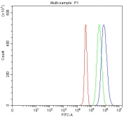 Flow cytometry testing of fixed and permeabilized human JK cells with ING5 antibody at 1ug/million cells (blocked with goat sera); Red=cells alone, Green=isotype control, Blue= ING5 antibody.