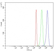 Flow cytometry testing of fixed and permeabilized human 293T cells with LZIC antibody at 1ug/million cells (blocked with goat sera); Red=cells alone, Green=isotype control, Blue= LZIC antibody.