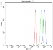 Flow cytometry testing of fixed and permeabilized human JK cells with LRRC59 antibody at 1ug/million cells (blocked with goat sera); Red=cells alone, Green=isotype control, Blue= LRRC59 antibody.