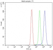 Flow cytometry testing of fixed and permeabilized human MCF7 cells with OTUB1 antibody at 1ug/million cells (blocked with goat sera); Red=cells alone, Green=isotype control, Blue= OTUB1 antibody.