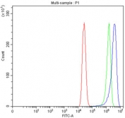 Flow cytometry testing of fixed human MCF7 cells with MCCC1 antibody at 1ug/million cells (blocked with goat sera); Red=cells alone, Green=isotype control, Blue= MCCC1 antibody.