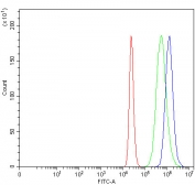 Flow cytometry testing of fixed and permeabilized human ThP-1 cells with MIP-3 beta antibody at 1ug/million cells (blocked with goat sera); Red=cells alone, Green=isotype control, Blue= MIP-3 beta antibody.