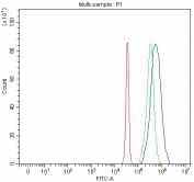 Flow cytometry testing of fixed and permeabilized human JK cells with INO80B antibody at 1ug/million cells (blocked with goat sera); Red=cells alone, Green=isotype control, Blue= INO80B antibody.