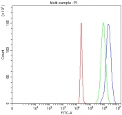 Flow cytometry testing of fixed and permeabilized human 293T cells with INO80B antibody at 1ug/million cells (blocked with goat sera); Red=cells alone, Green=isotype control, Blue= INO80B antibody.