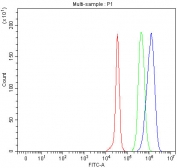 Flow cytometry testing of fixed and permeabilized human JK cells with LHPP antibody at 1ug/million cells (blocked with goat sera); Red=cells alone, Green=isotype control, Blue= LHPP antibody.