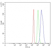 Flow cytometry testing of fixed and permeabilized human HepG2 cells with ING2 antibody at 1ug/million cells (blocked with goat sera); Red=cells alone, Green=isotype control, Blue= ING2 antibody.