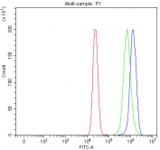 Flow cytometry testing of fixed and permeabilized human MCF7 cells with Thioredoxin-interacting protein antibody at 1ug/million cells (blocked with goat sera); Red=cells alone, Green=isotype control, Blue= Thioredoxin-interacting protein antibody.