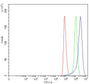Flow cytometry testing of fixed and permeabilized human HeLa cells with Palmdelphin antibody at 1ug/million cells (blocked with goat sera); Red=cells alone, Green=isotype control, Blue= Palmdelphin antibody.