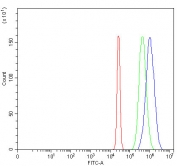 Flow cytometry testing of fixed and permeabilized human HepG2 cells with BPNT2 antibody at 1ug/million cells (blocked with goat sera); Red=cells alone, Green=isotype control, Blue= BPNT2 antibody.