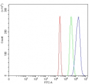 Flow cytometry testing of fixed and permeabilized human HepG2 cells with IFT52 antibody at 1ug/million cells (blocked with goat sera); Red=cells alone, Green=isotype control, Blue= IFT52 antibody.