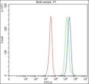 Flow cytometry testing of fixed and permeabilized human JK cells with HAGH antibody at 1ug/million cells (blocked with goat sera); Red=cells alone, Green=isotype control, Blue= HAGH antibody.