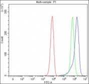 Flow cytometry testing of fixed and permeabilized human K562 cells with ITPA antibody at 1ug/million cells (blocked with goat sera); Red=cells alone, Green=isotype control, Blue= ITPA antibody.