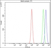 Flow cytometry testing of fixed and permeabilized human PC-3 cells with HELLS antibody at 1ug/million cells (blocked with goat sera); Red=cells alone, Green=isotype control, Blue= HELLS antibody.