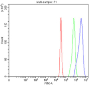 Flow cytometry testing of fixed and permeabilized human SiHa cells with Intersectin 1 antibody at 1ug/million cells (blocked with goat sera); Red=cells alone, Green=isotype control, Blue= Intersectin 1 antibody.