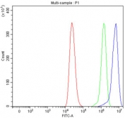 Flow cytometry testing of fixed and permeabilized human ThP-1 cells with GlnRS antibody at 1ug/million cells (blocked with goat sera); Red=cells alone, Green=isotype control, Blue= GlnRS antibody.