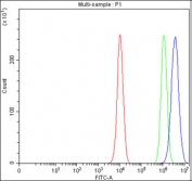 Flow cytometry testing of fixed and permeabilized human PC-3 cells with MACROH2A2 antibody at 1ug/million cells (blocked with goat sera); Red=cells alone, Green=isotype control, Blue= MACROH2A2 antibody.