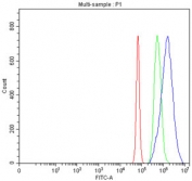 Flow cytometry testing of fixed and permeabilized human JK cells with PHF6 antibody at 1ug/million cells (blocked with goat sera); Red=cells alone, Green=isotype control, Blue= PHF6 antibody.