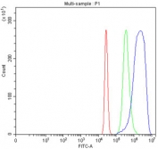 Flow cytometry testing of fixed and permeabilized human HepG2 cells with PGDH antibody at 1ug/million cells (blocked with goat sera); Red=cells alone, Green=isotype control, Blue= PGDH antibody.