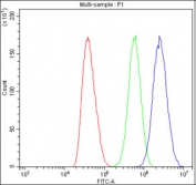 Flow cytometry testing of fixed and permeabilized human A549 cells with ANAPC1 antibody at 1ug/million cells (blocked with goat sera); Red=cells alone, Green=isotype control, Blue= ANAPC1 antibody.