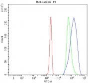 Flow cytometry testing of fixed and permeabilized human HepG2 cells with PKDCC antibody at 1ug/million cells (blocked with goat sera); Red=cells alone, Green=isotype control, Blue= PKDCC antibody.