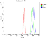 Flow cytometry testing of fixed and permeabilized human MCF7 cells with PFKP antibody at 1ug/million cells (blocked with goat sera); Red=cells alone, Green=isotype control, Blue= PFKP antibody.