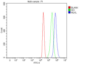 Flow cytometry testing of fixed and permeabilized human MCF7 cells with MLKL antibody at 1ug/million cells (blocked with goat sera); Red=cells alone, Green=isotype control, Blue= MLKL antibody.