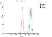 Flow cytometry testing of fixed human JK cells with SLAMF6 antibody at 1ug/million cells (blocked with goat sera); Red=cells alone, Green=isotype control, Blue= SLAMF6 antibody.