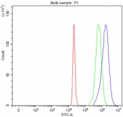 Flow cytometry testing of fixed and permeabilized human 293T cells with HDLBP antibody at 1ug/million cells (blocked with goat sera); Red=cells alone, Green=isotype control, Blue= HDLBP antibody.