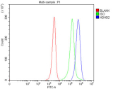 Flow cytometry testing of fixed human JK cells with HDHD2 antibody at 1ug/million cells (blocked with goat sera); Red=cells alone, Green=isotype control, Blue= HDHD2 antibody.
