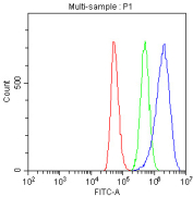 Flow cytometry testing of fixed and permeabilized human HepG2 cells with LARG antibody at 1ug/million cells (blocked with goat sera); Red=cells alone, Green=isotype control, Blue= LARG antibody.