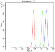 Flow cytometry testing of fixed and permeabilized human K562 cells with PDCD2 antibody at 1ug/million cells (blocked with goat sera); Red=cells alone, Green=isotype control, Blue= PDCD2 antibody.
