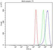Flow cytometry testing of fixed human MCF7 cells with AP2M1 antibody at 1ug/million cells (blocked with goat sera); Red=cells alone, Green=isotype control, Blue= AP2M1 antibody.