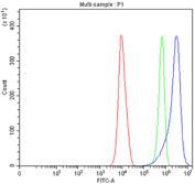 Flow cytometry testing of fixed and permeabilized human PC-3 cells with STON2 antibody at 1ug/million cells (blocked with goat sera); Red=cells alone, Green=isotype control, Blue= STON2 antibody.