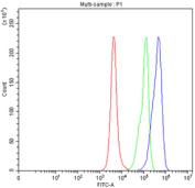 Flow cytometry testing of fixed mouse RAW264.7 cells with Cd163 antibody at 1ug/million cells (blocked with goat sera); Red=cells alone, Green=isotype control, Blue= Cd163 antibody.
