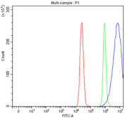 Flow cytometry testing of fixed and permeabilized human MCF7 cells with NQO1 antibody at 1ug/million cells (blocked with goat sera); Red=cells alone, Green=isotype control, Blue= NQO1 antibody.