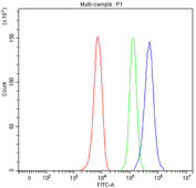 Flow cytometry testing of fixed and permeabilized human HepG2 cells with NDUFS1 antibody at 1ug/million cells (blocked with goat sera); Red=cells alone, Green=isotype control, Blue= NDUFS1 antibody.