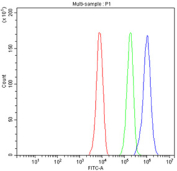 Flow cytometry testing of fixed and permeabilized human HepG2 cells with STXBP4 antibody at 1ug/million cells (blocked with goat sera); Red=cells alone, Green=isotype control, Blue= STXBP4 antibody.