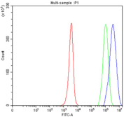 Flow cytometry testing of fixed and permeabilized human JK cells with PSMC1 antibody at 1ug/million cells (blocked with goat sera); Red=cells alone, Green=isotype control, Blue= PSMC1 antibody.