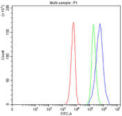 Flow cytometry testing of fixed and permeabilized human SiHa cells with CPT2 antibody at 1ug/million cells (blocked with goat sera); Red=cells alone, Green=isotype control, Blue= CPT2 antibody.