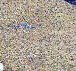 IHC staining of FFPE zebrafish liver tissue with Zebrafish Rab3Gap1 antibody. HIER: boil tissue sections in pH8 EDTA for 20 min and allow to cool before testing.
