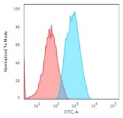 Flow cytometry testing of fixed human HeLa cells with Smooth Muscle Actin antibody (clone 1A4); Red=isotype control, Blue= Smooth Muscle Actin antibody.