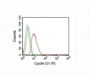 Cyclin D1 antibody FACS MCF-7
