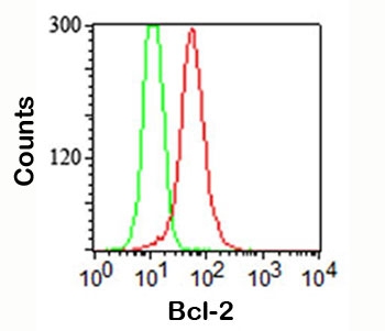 FACS staining (intracellular) of Jurkat cells using Bcl-2 antibody (red) and isotype control (green).