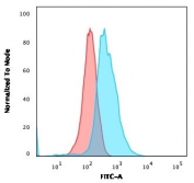 Flow cytometry testing of human Molt-4 cells with CD1a antibody (clone O10); Red=isotype control, Blue= CD1a antibody.