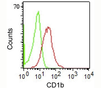 FACS staining of human PBMCs using CD1b antibody (RIV12).