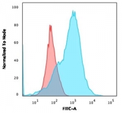 Flow cytometry staining of human Molt-4 cells with CD2 antibody (clone 1E7E8.G4); Red=isotype control, Blue= CD2 antibody.