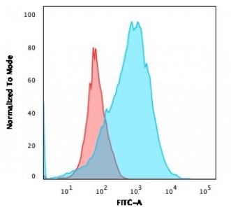 Flow cytometry testing of human MOLT-4 cells with CD2 antibody (clone BH1); Red=isotype control, Blue= CD2 antibody.